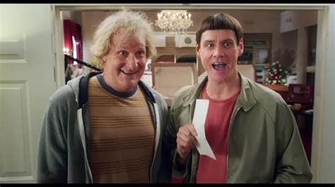 dumb and dumber to imdb|dumb and dumber sequel.